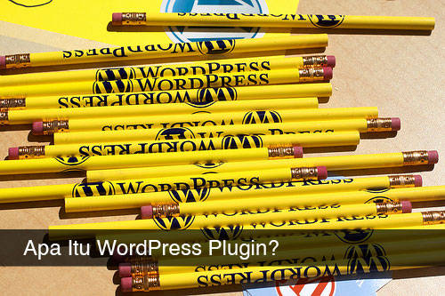 apa-itu-wordpress-plugin